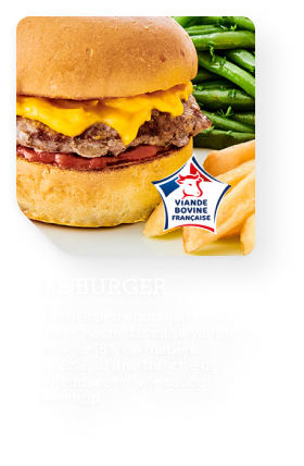 Vignette_burger_mobile