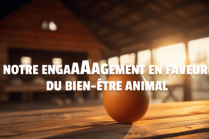 engagement_mini