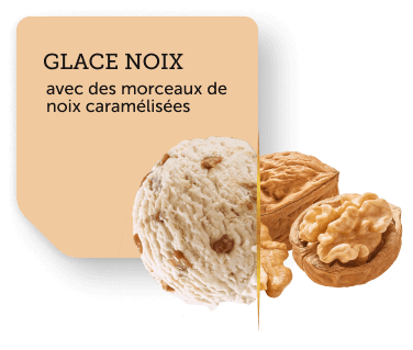 Noix