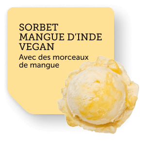 mangue