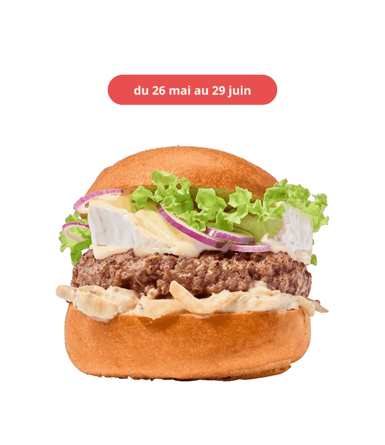 french-burger plat du moment