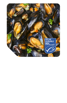 moules kids