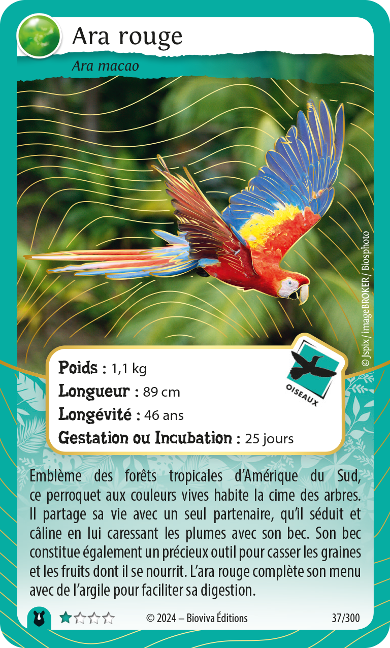 CARTE ARA ROUGE