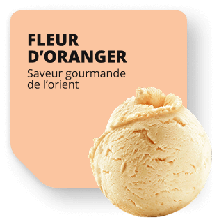Fleur d'oranger