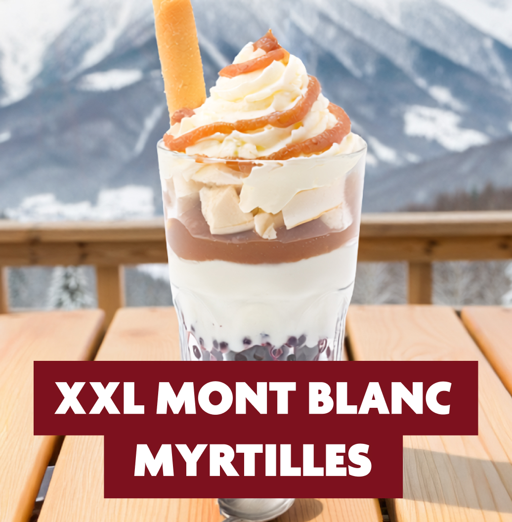518x528-Vignette-OpMontagne-XXL Mont Blancx2
