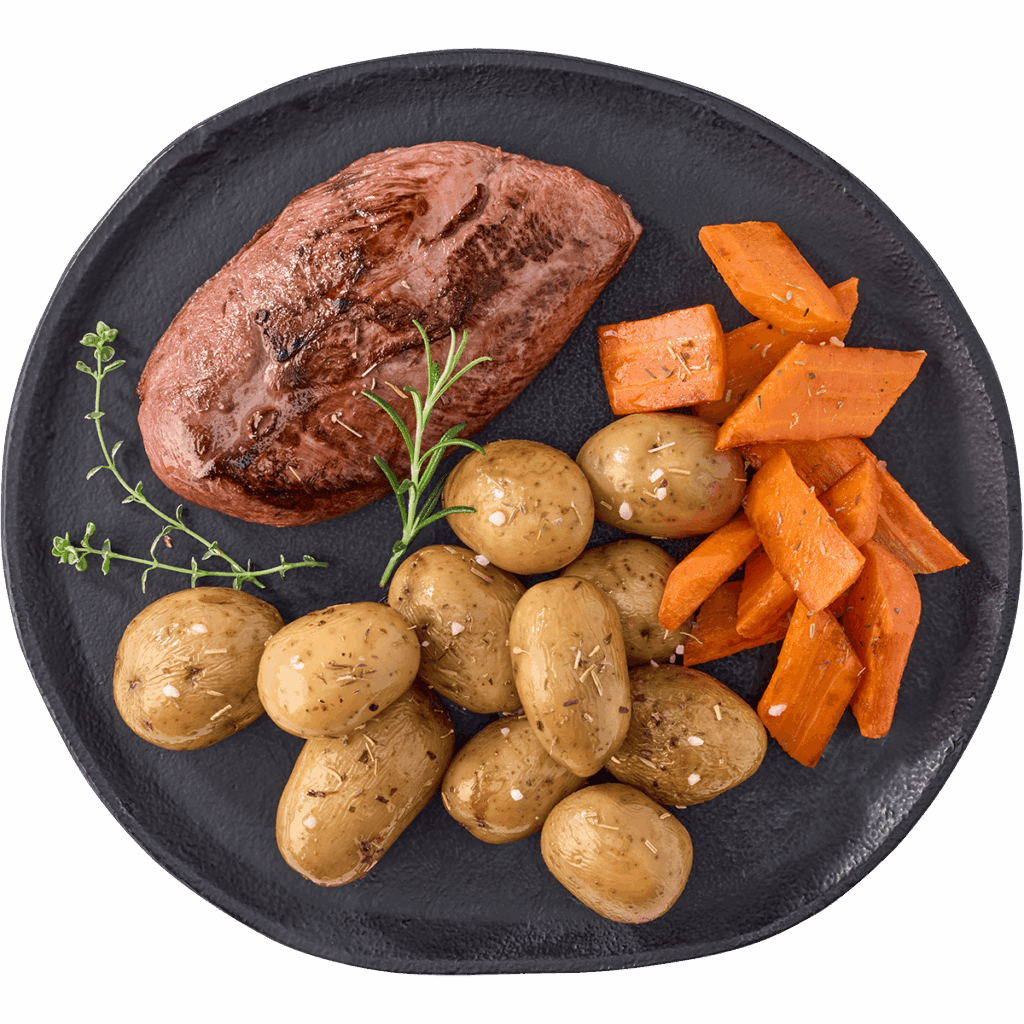 Filet de canard