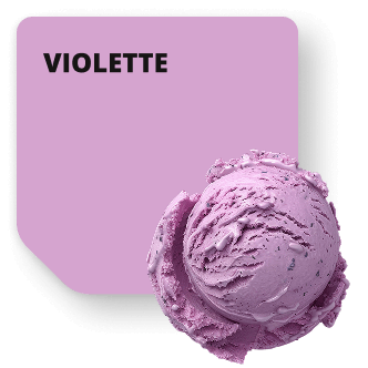 violette (1)